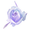 Pack 53 Avatars : Fleurs 08