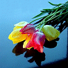 Pack 53 Avatars : Fleurs 21