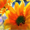 Pack 53 Avatars : Fleurs 31