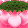 Pack 53 Avatars : Fleurs 39
