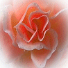 Pack 53 Avatars : Fleurs 41